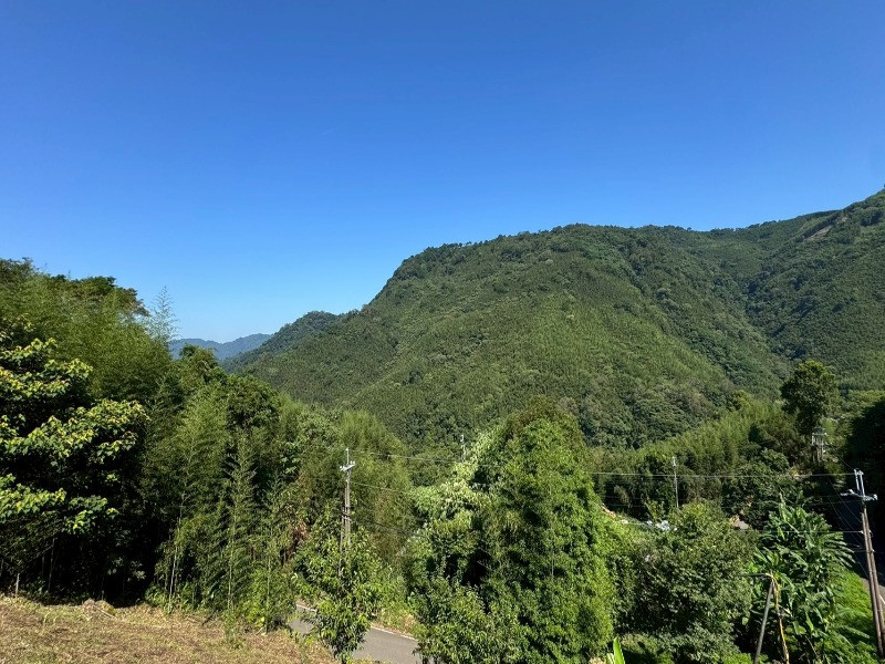 相簿