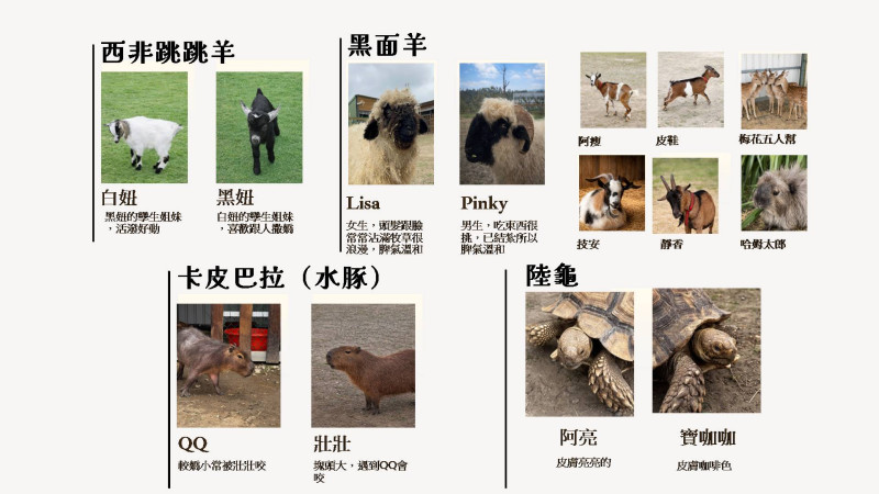 相簿